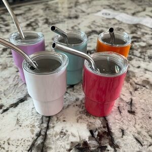 Stainless Steel Mini Lidded Tumblers with Straws